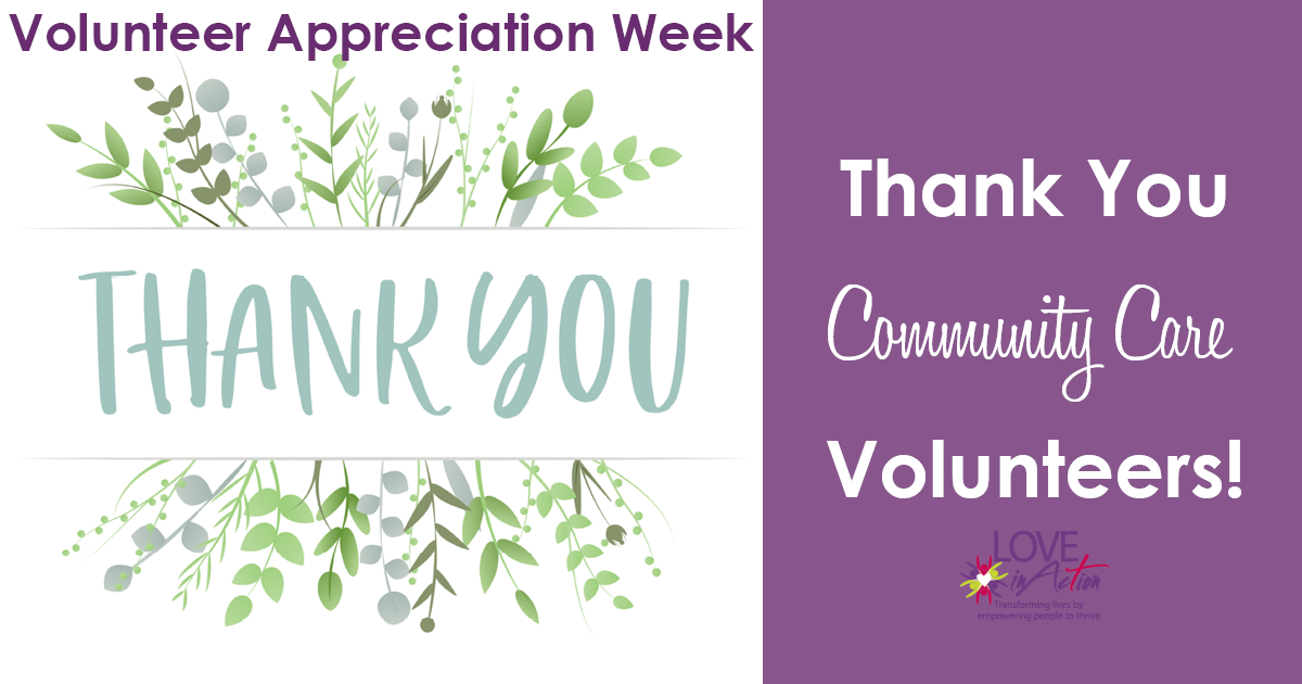 Volunteer Appreciation -community Care Volunteers